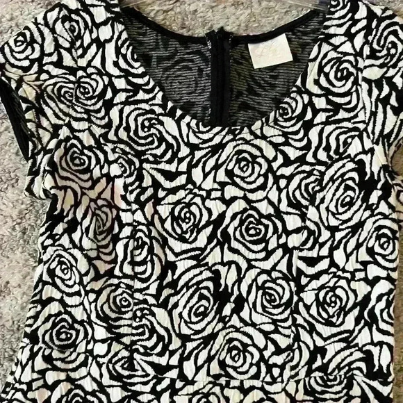 Black and White Fit and Flare Fancy Dress - Picture 3 of 3